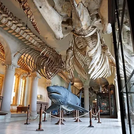 Apartment Dinbnb I Historical Building I 50m To Museum *