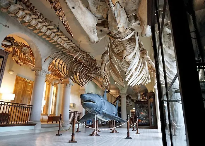 Appartamento Dinbnb I Historical Building I 50m To Museum *